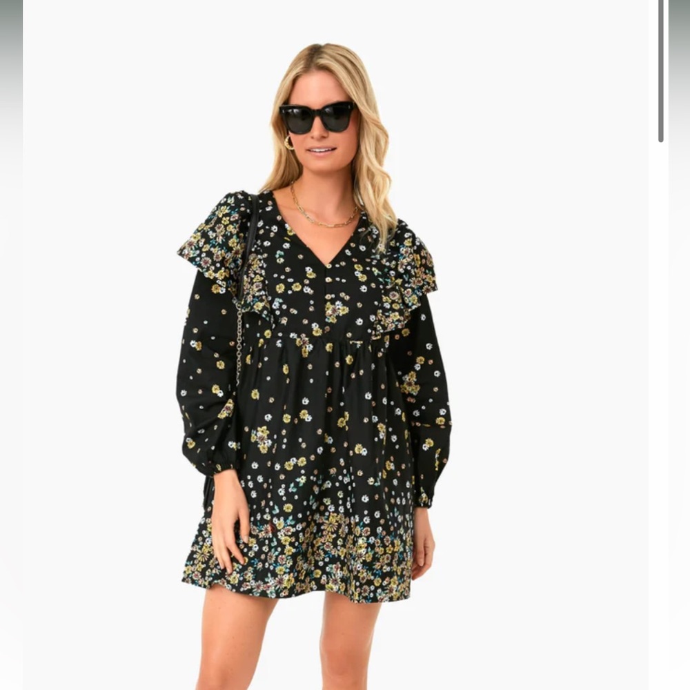 Lost and Wander (Tuckernuck brand) Black Multi floral field of dreams mini dress